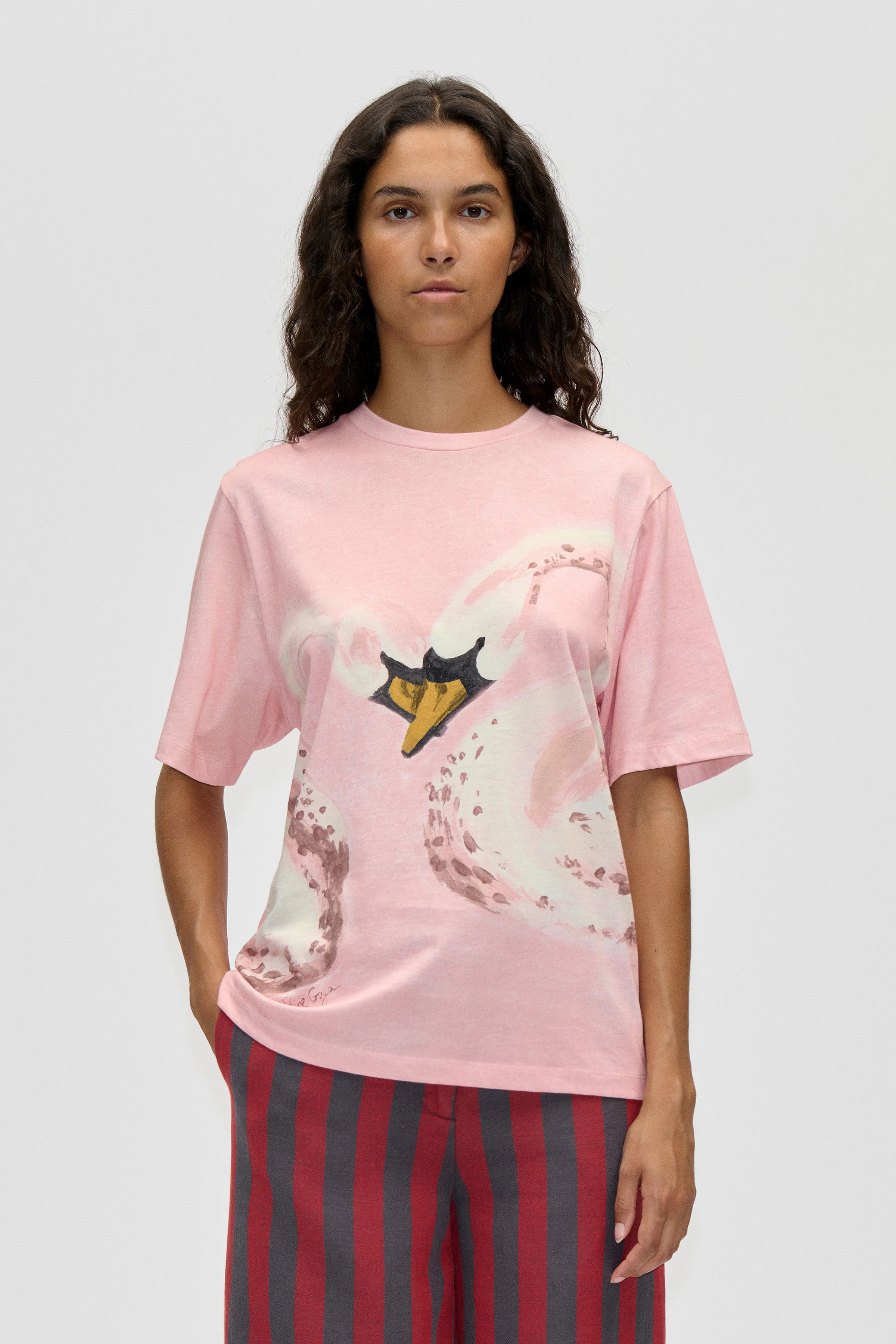 Short Sleeve T-Shirt - Swans