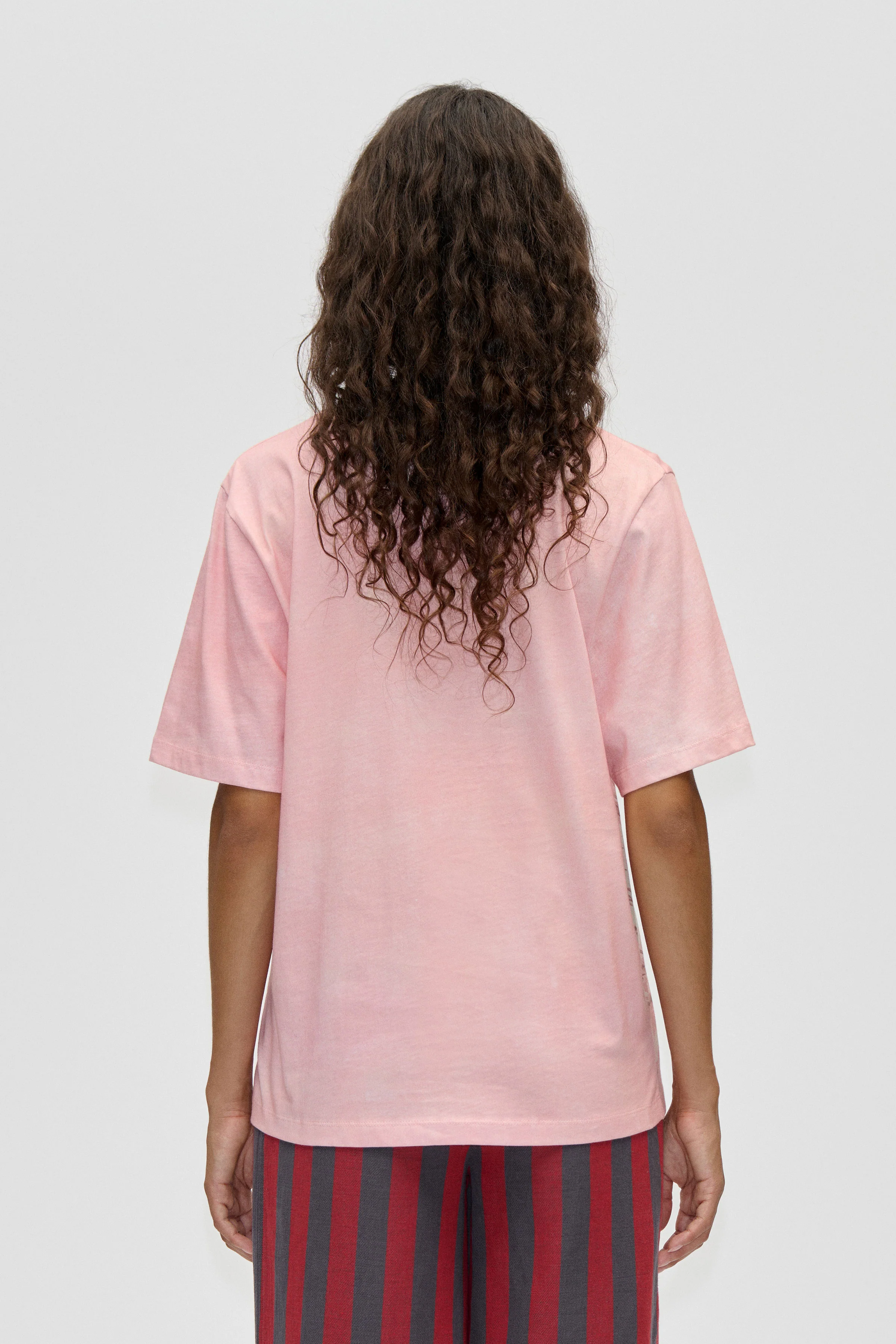 Short Sleeve T-Shirt - Swans - Image 2
